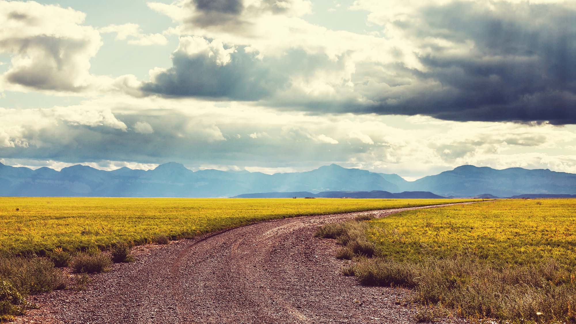 Road in field